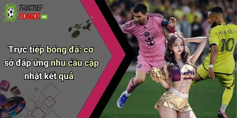 Trực tiếp bóng đá: cơ sở đáp ứng nhu cầu cập nhật kết quả