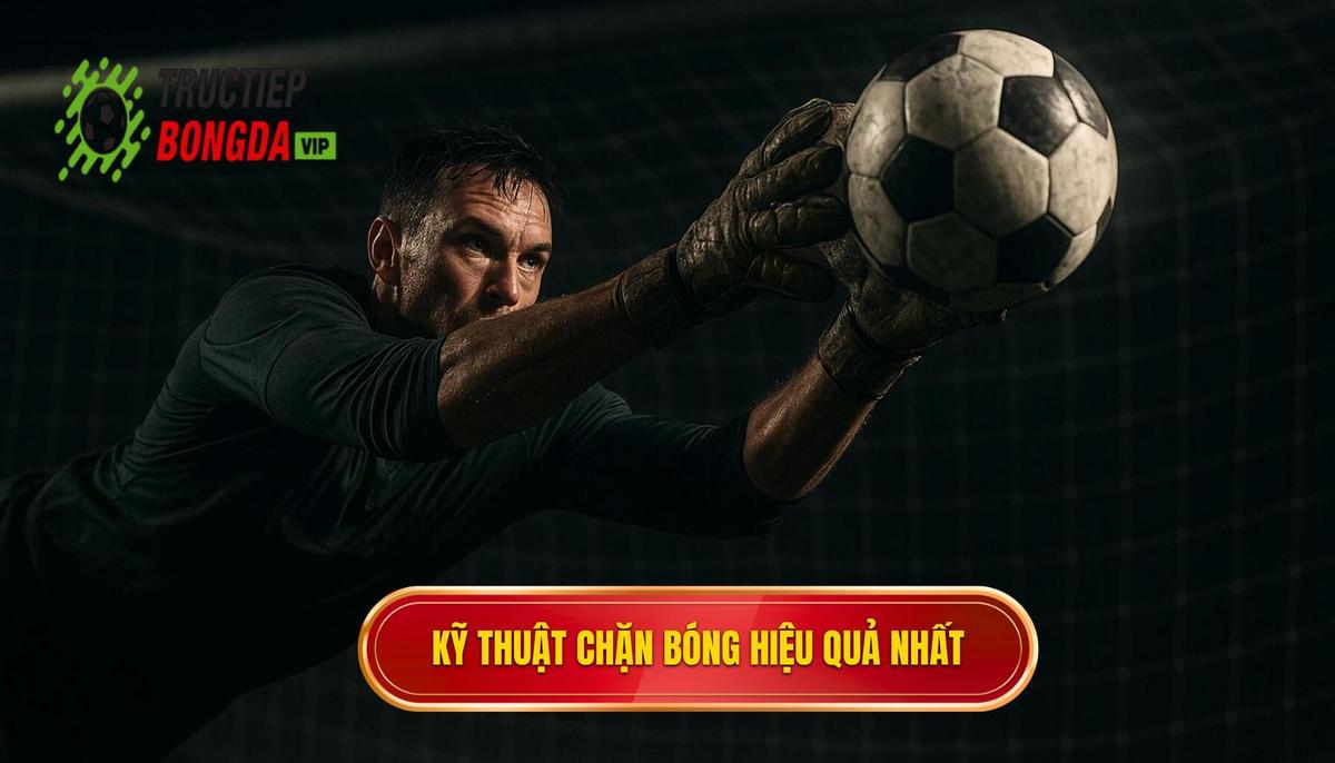 Yếu tố cấu thành Kỹ thuật đánh chặn bóng hoàn hảo