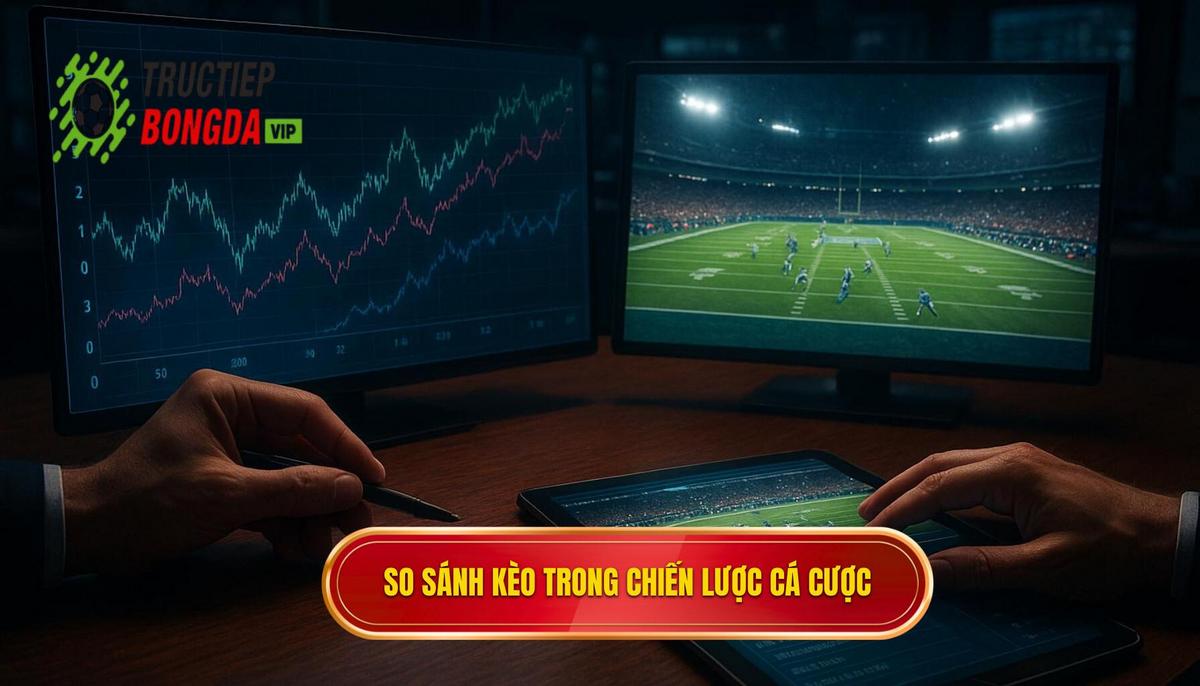 Tầm quan trọng của việc so sánh kèo nhà cái trong chiến lược cá cược