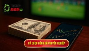 thumb - cá cược bóng đá chuyên nghiệp