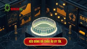 Kèo bóng đá Châu Âu: Hướng dẫn toàn tập và bí quyết soi kèo bất bại