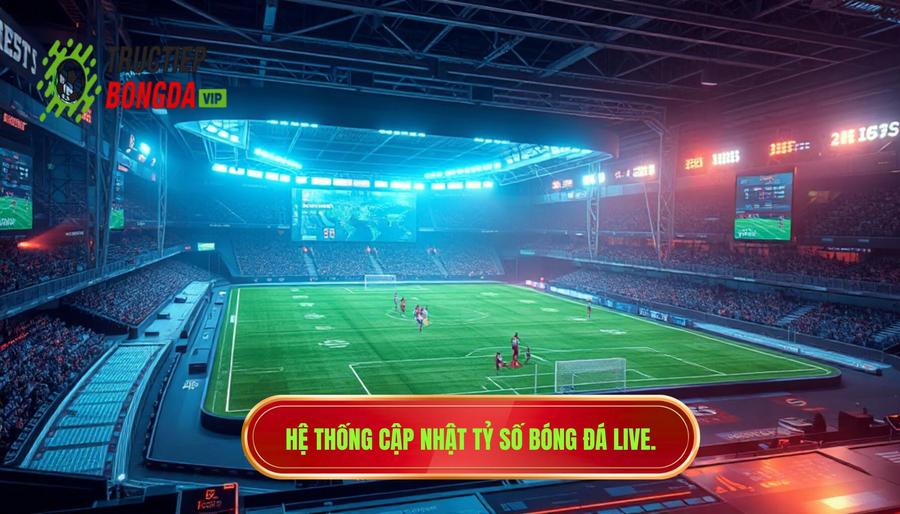 Những yếu tố cốt lõi của một hệ thống cập nhật tỷ số bóng đá live chất lượng