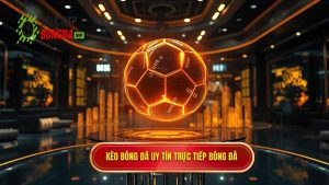 Kèo bóng đá cho người mới: Hướng dẫn đọc kèo chi tiết từ A-Z