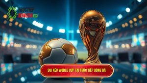 Soi Kèo World Cup: Kinh Nghiệm Và Bí Quyết Thắng Lớn Từ Chuyên Gia
